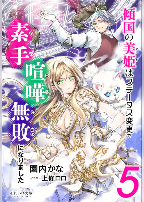 傾国の美姫はステータス変更で素手喧嘩無敗になりました