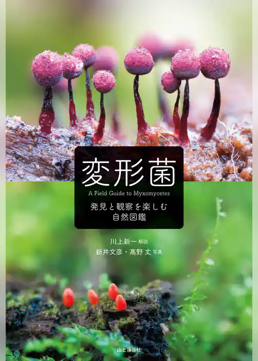 変形菌 発見と観察を楽しむ自然図鑑