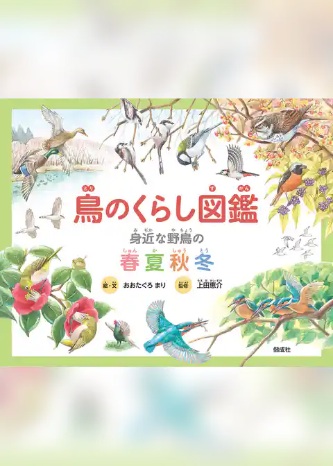 鳥のくらし図鑑