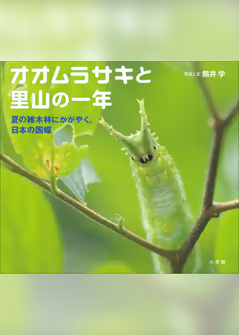オオムラサキと里山の一年　～夏の雑木林にかがやく、日本の国蝶～（小学館の図鑑NEOの科学絵本）