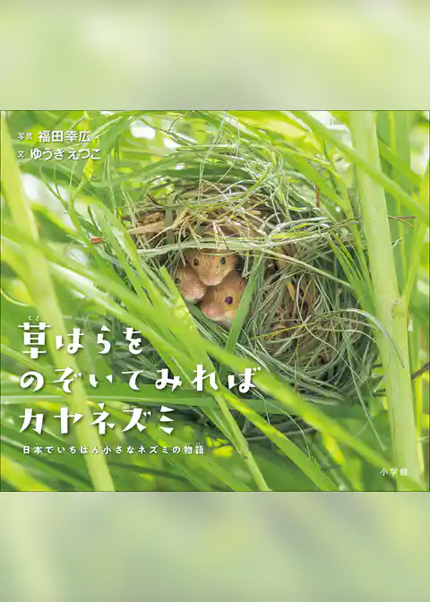 草はらをのぞいてみればカヤネズミ　～日本でいちばん小さなネズミの物語～（小学館の図鑑NEOの科学絵本）