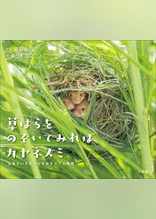 草はらをのぞいてみればカヤネズミ　～日本でいちばん小さなネズミの物語～（小学館の図鑑NEOの科学絵本）