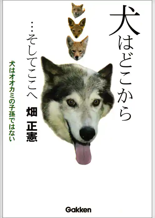 犬はどこから…そしてここへ