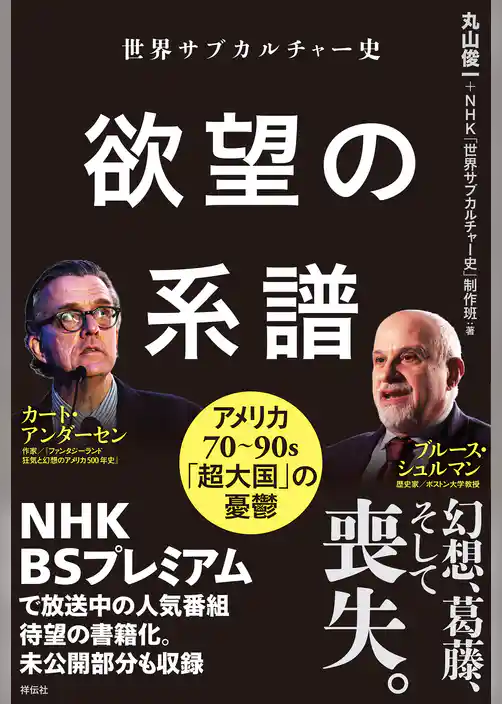 世界サブカルチャー史　欲望の系譜　アメリカ７０～９０ｓ　「超大国」の憂鬱