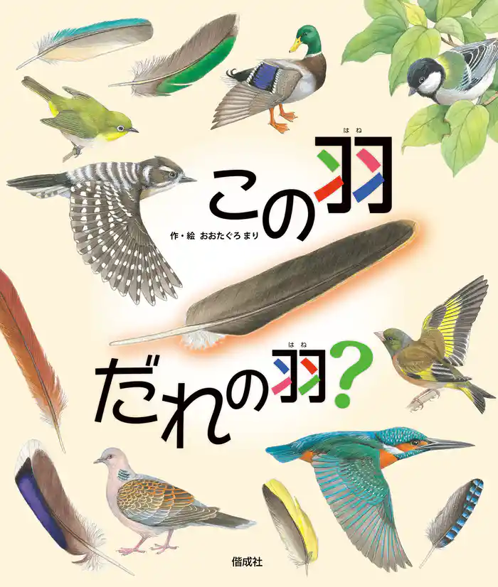 この羽 だれの羽?