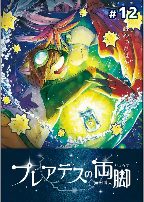 プレアデスの両脚