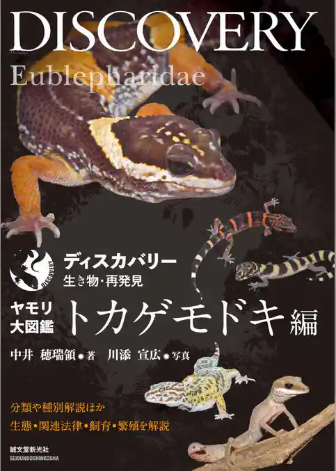 ヤモリ大図鑑 トカゲモドキ編：分類や種別解説ほか生態・関連法律・飼育・繁殖を解説