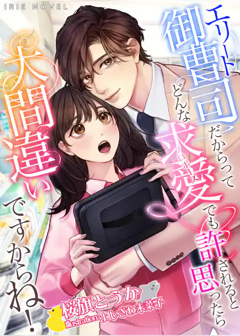 エリート御曹司だからってどんな求愛も許されると思ったら大間違いですからね！