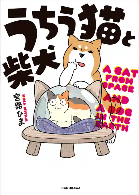 うちう猫と柴犬