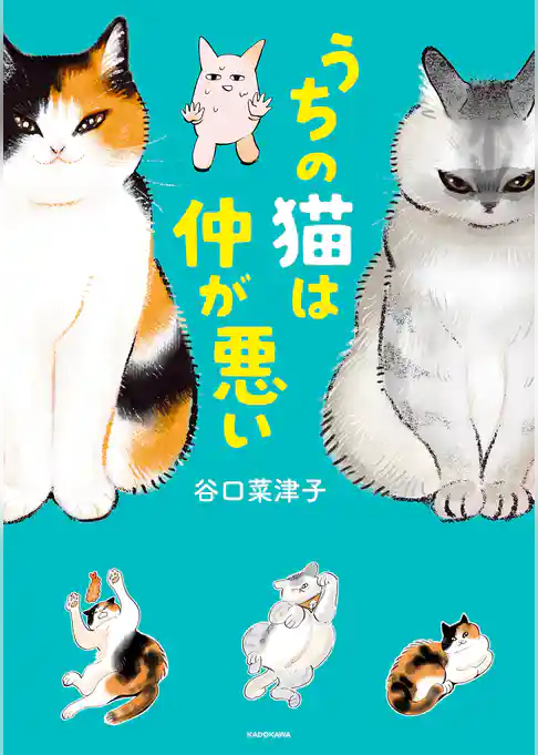 うちの猫は仲が悪い