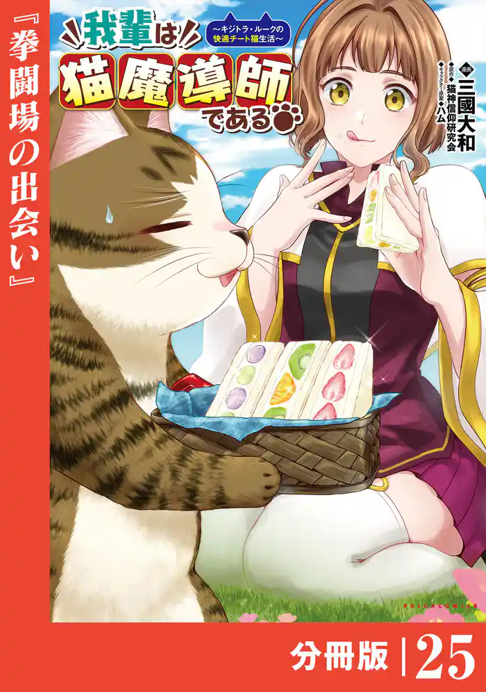 我輩は猫魔導師である～キジトラ・ルークの快適チート猫生活～【分冊版】（ポルカコミックス）２５