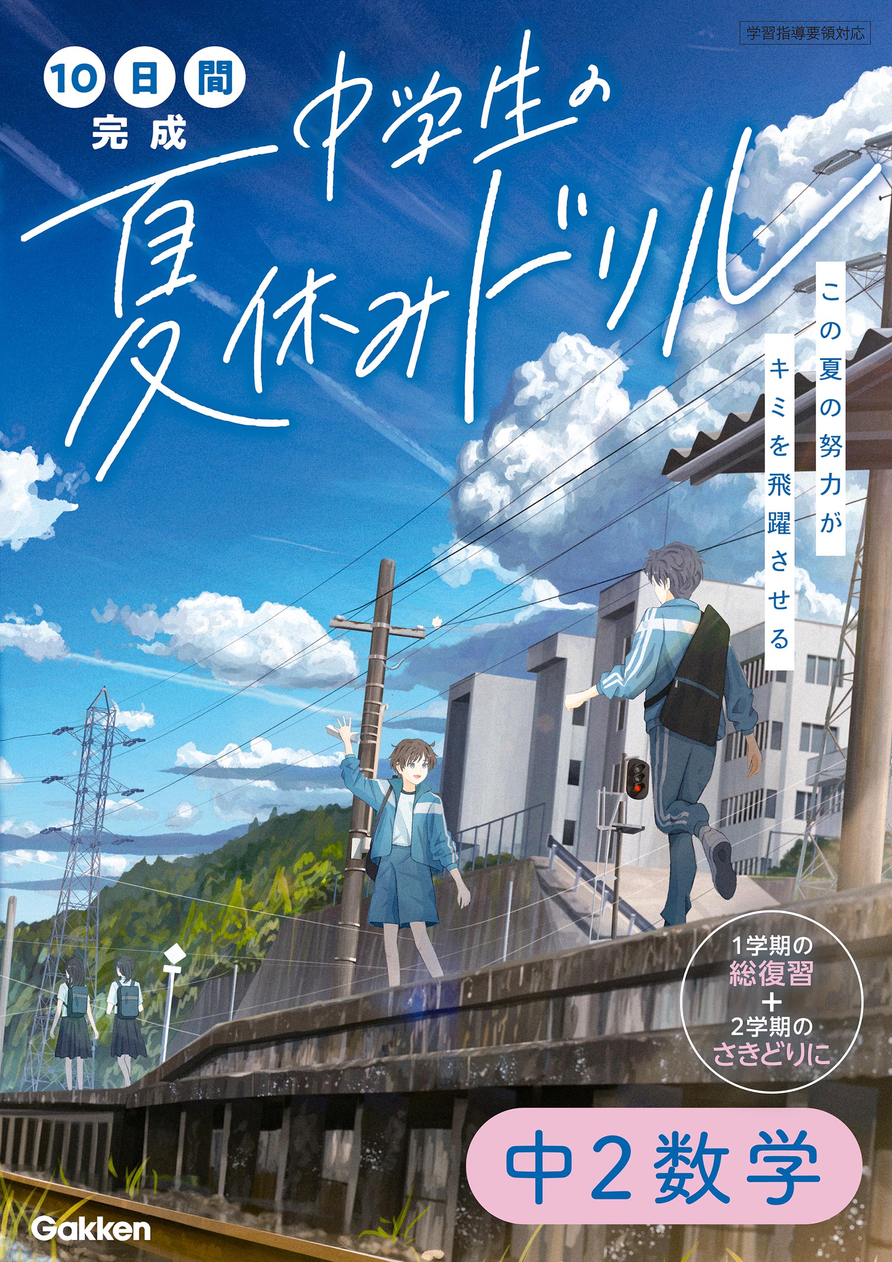 10日間完成 中学生の夏休みドリル 中1数学 書籍 電子書籍 U Next 初回600円分無料