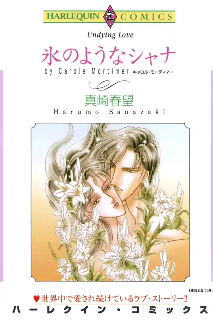 氷のようなシャナ【分冊】 12巻
