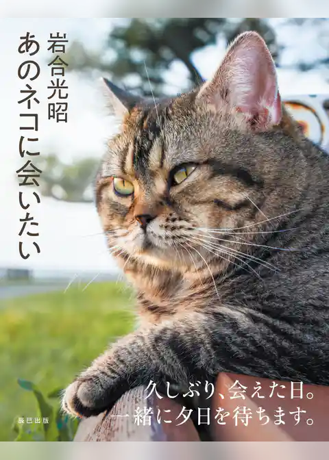 あのネコに会いたい 岩合光昭写真集