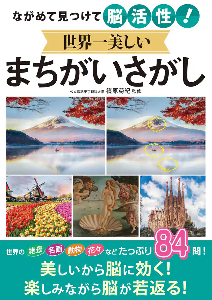 ながめて見つけて脳活性!世界一美しいまちがいさがし