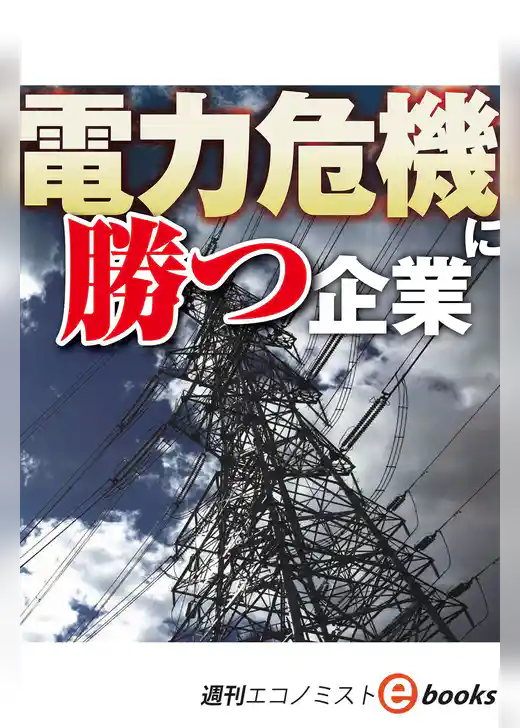 電力危機に勝つ企業（週刊エコノミストebooks）