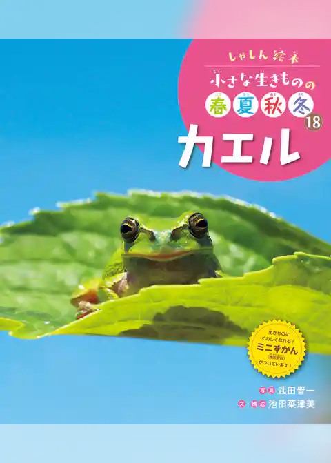 しゃしん絵本　小さな生きものの春夏秋冬