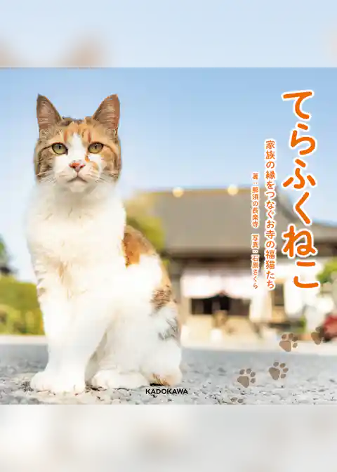 てらふくねこ　 家族の縁をつなぐお寺の福猫たち