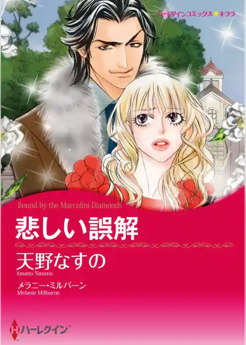 悲しい誤解【分冊】