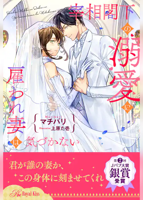 【全1-6セット】宰相閣下の溺愛に雇われ妻は気づかない【イラスト付】