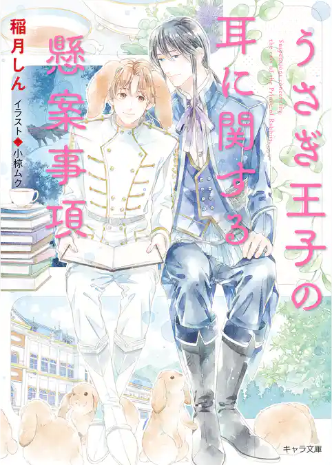 うさぎ王子の耳に関する懸案事項