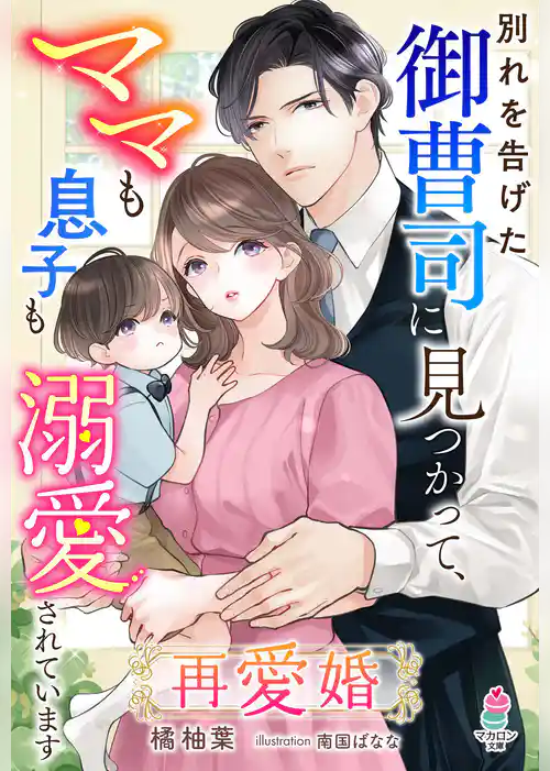 再愛婚～別れを告げた御曹司に見つかって、ママも息子も溺愛されています～