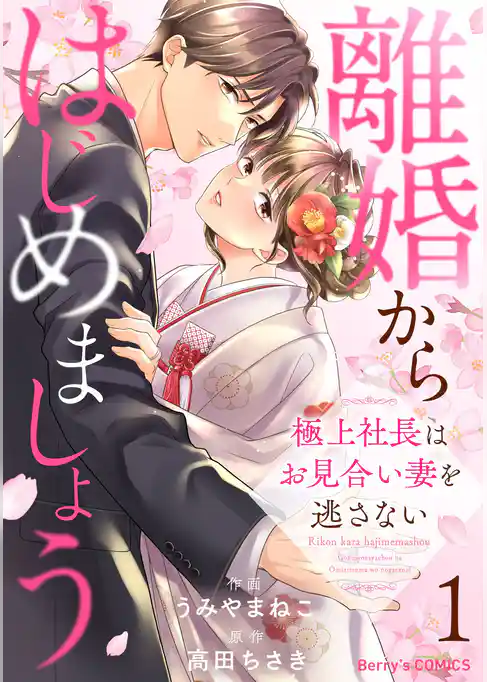 離婚からはじめましょうー極上社長はお見合い妻を逃さないー