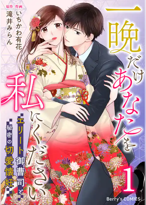 一晩だけあなたを私にください～エリート御曹司と秘密の切愛懐妊～