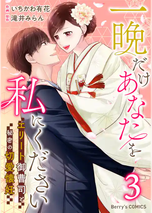 一晩だけあなたを私にください～エリート御曹司と秘密の切愛懐妊～