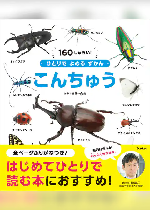 ひとりでよめるずかん こんちゅう