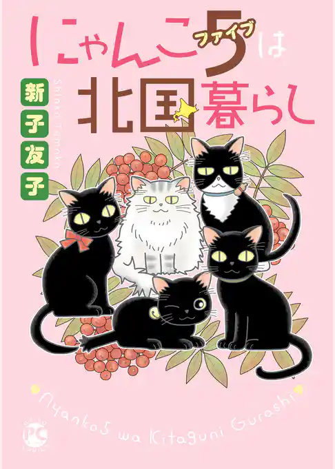 にゃんこ５は北国暮らし