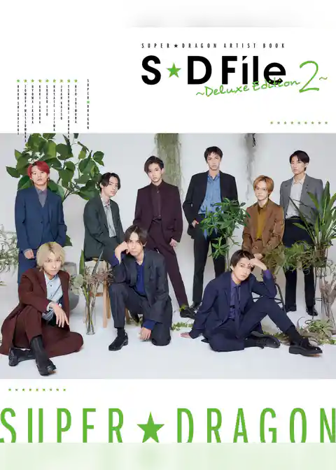 SUPER★DRAGON ARTIST BOOK　S★D File ～Deluxe Edition 2～