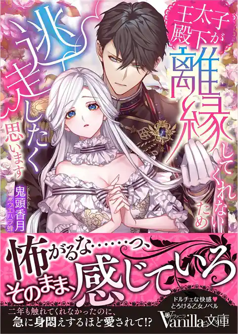 王太子殿下が離縁してくれないため逃走したく思います