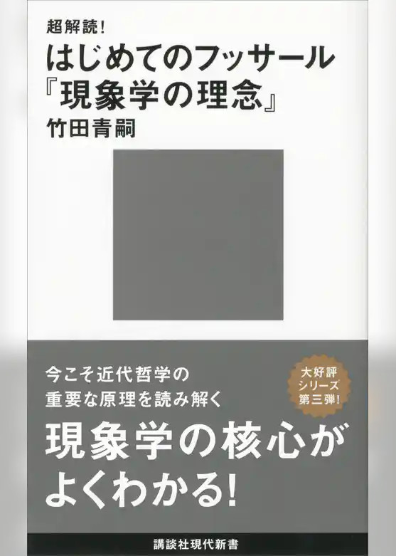 超解読！　はじめてのフッサール『現象学の理念』