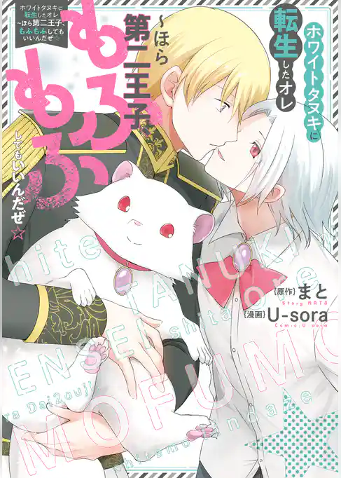 ホワイトタヌキに転生したオレ～ほら第二王子、もふもふしてもいいんだぜ☆
