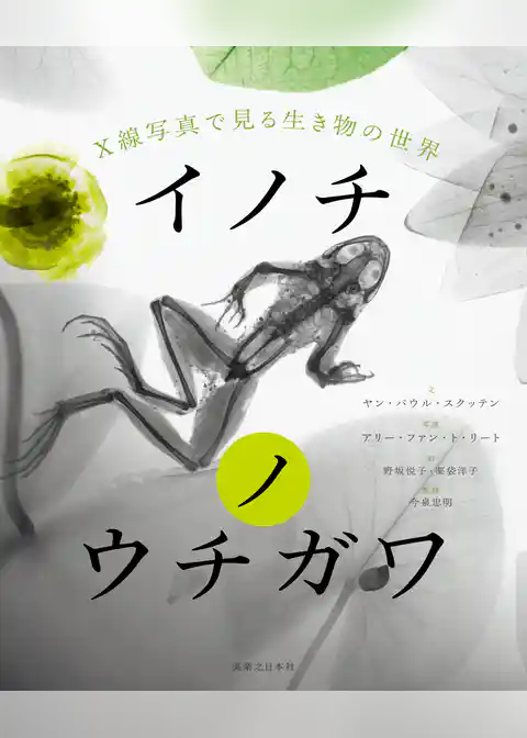 イノチノウチガワ