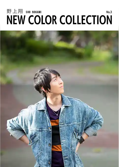 野上翔 NEW COLOR COLLECTION No.3