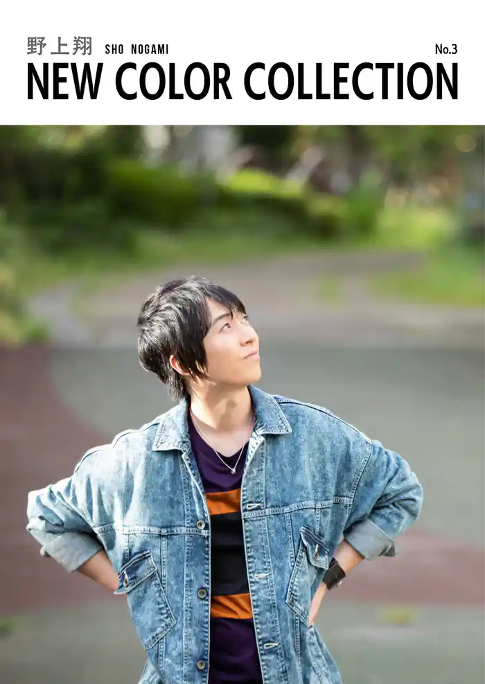 野上翔 NEW COLOR COLLECTION No.3