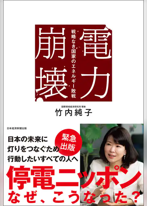 電力崩壊　戦略なき国家のエネルギー敗戦