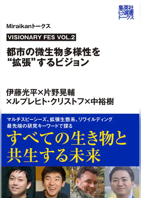 VISIONARY FES