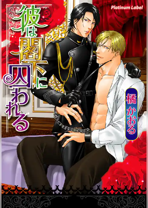 彼は閣下に囚われる