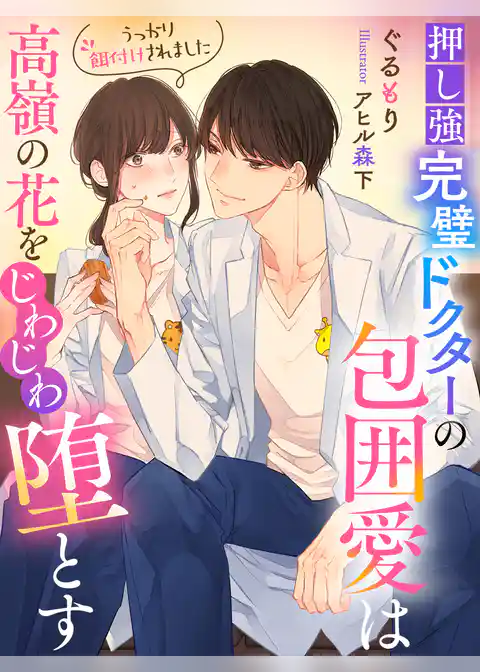 押し強完璧ドクターの包囲愛は高嶺の花をじわじわ堕とす～うっかり餌付けされました～