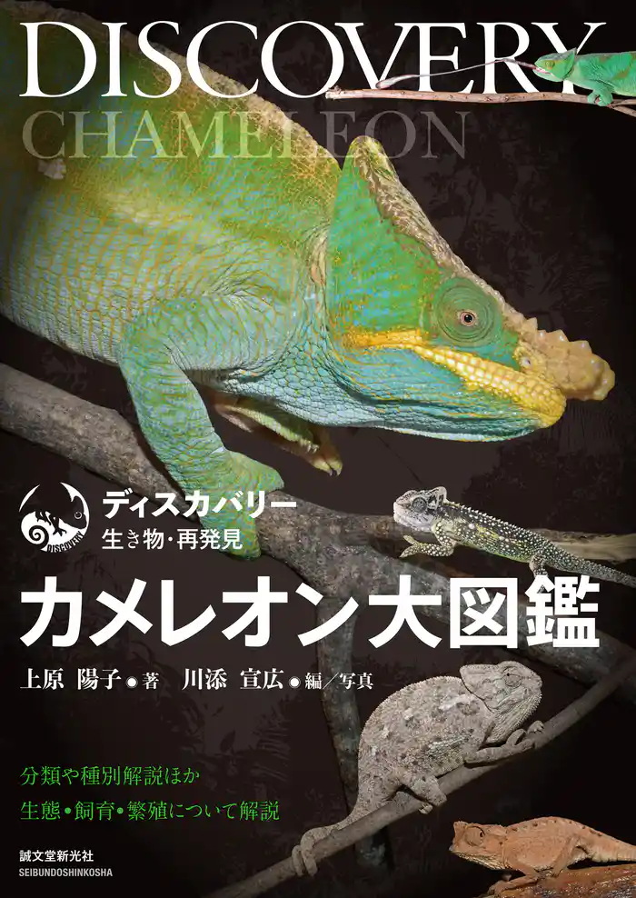 カメレオン大図鑑:分類や種別解説ほか生態・飼育・繁殖について解説