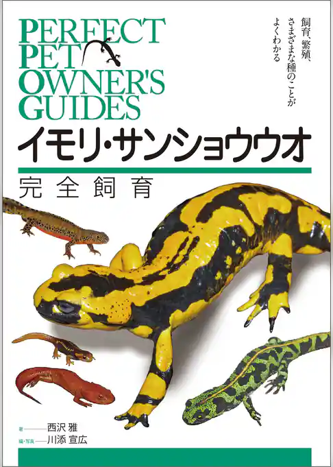 イモリ・サンショウウオ完全飼育：飼育、繁殖、さまざまな種のことがよくわかる