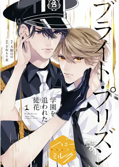 漫画版 ブライト・プリズン 分冊版