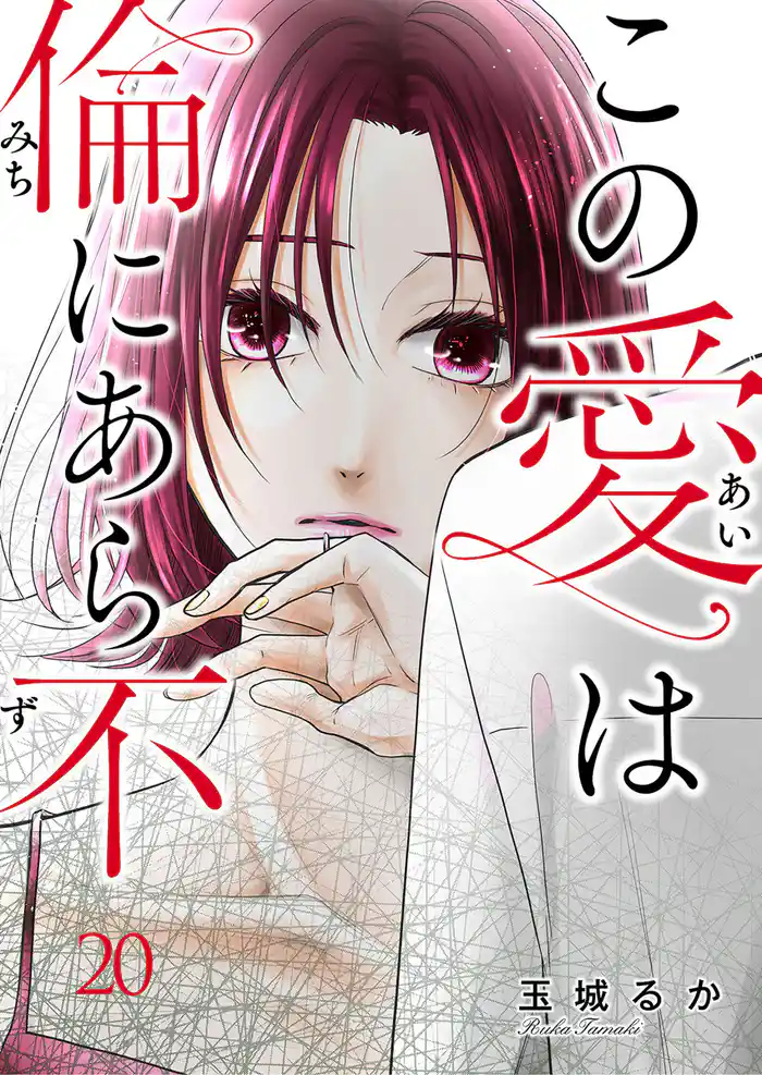 この愛は倫(みち)にあら不(ず)第20話