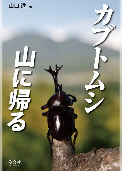 カブトムシ　山に帰る