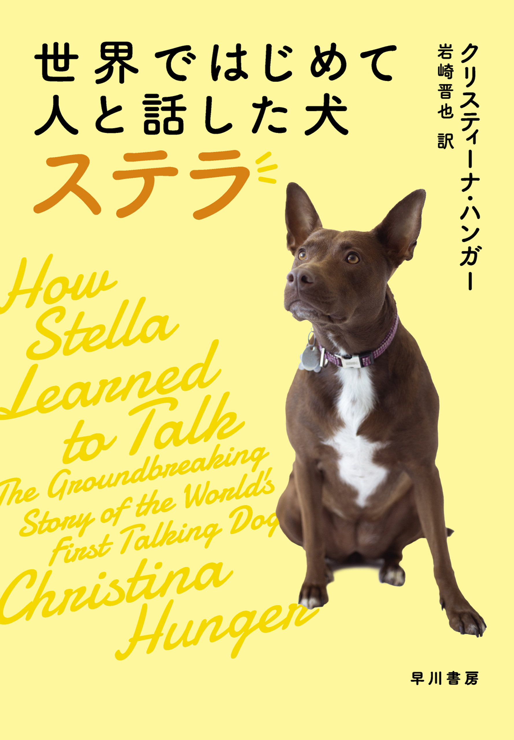 世界ではじめて人と話した犬 ステラ 書籍 電子書籍 U Next 初回600円分無料