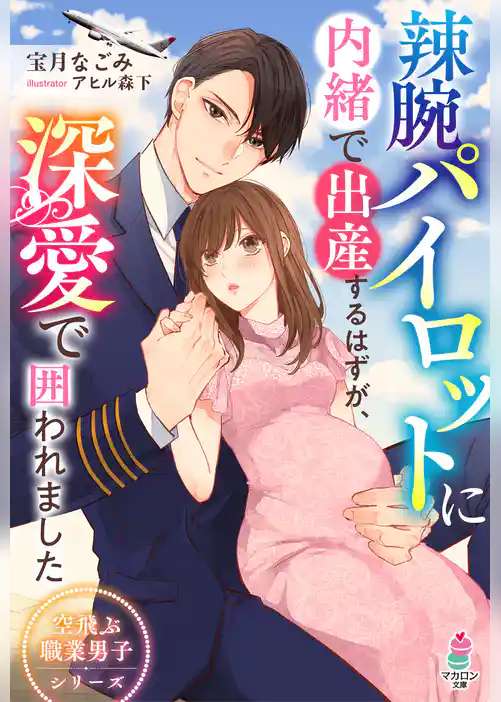 辣腕パイロットに内緒で出産するはずが、深愛で囲われました【空飛ぶ職業男子シリーズ】