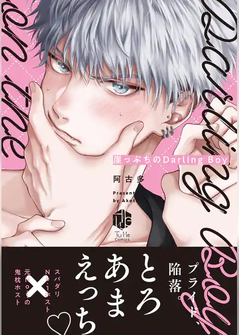 崖っぷちのDarling Boy【電子限定漫画付き】